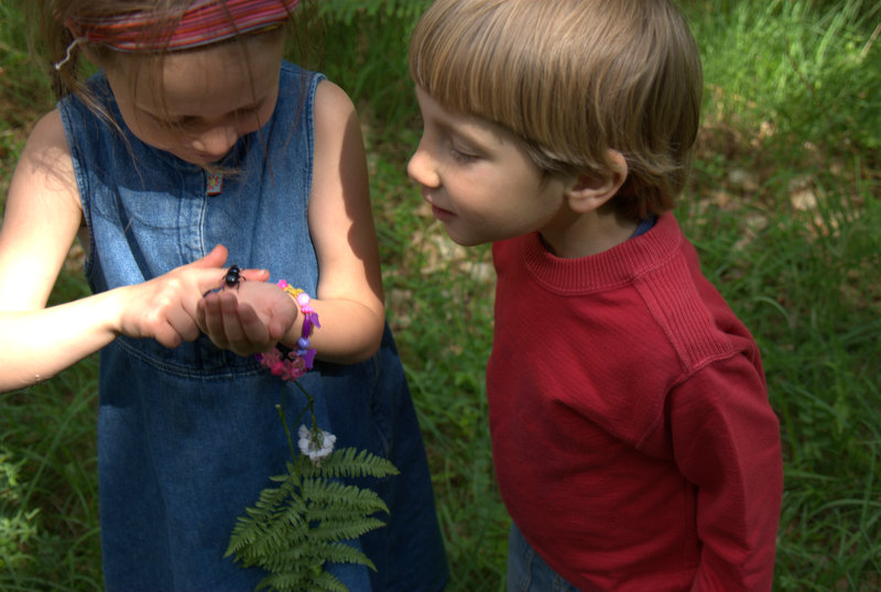 Deux enfants observent un insecte dans l'herbe