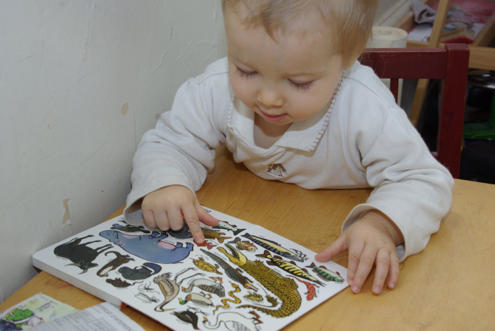 Un bébé découvre un livre d'images